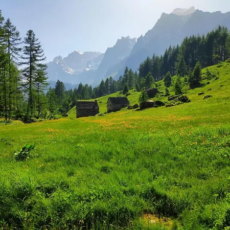 Il Picchio Bed and Breakfast