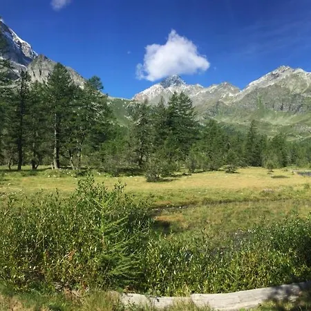 Il Picchio Bed and Breakfast