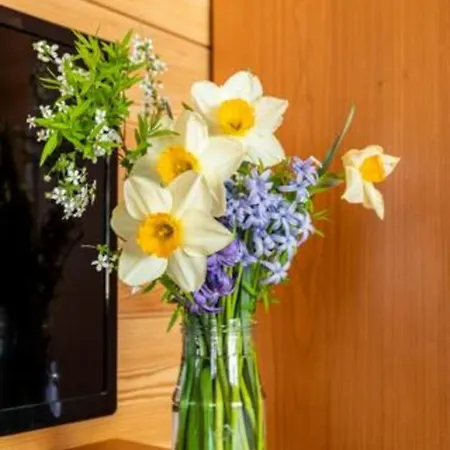 ベッド・アンド・ブレックファスト Il Picchio ヴァルツォ