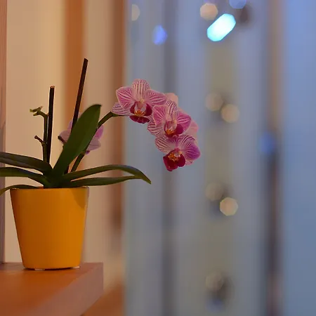 Bed and Breakfast Il Picchio