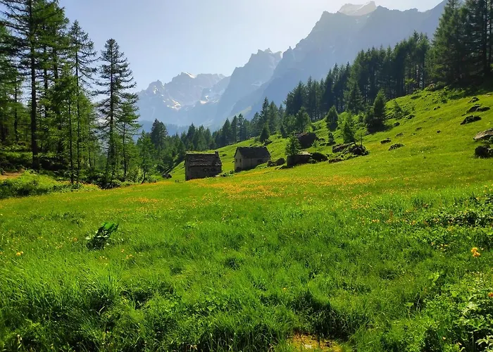 Il Picchio Bed & Breakfast