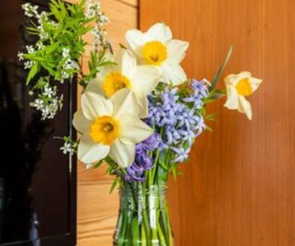 Bed & Breakfast Il Picchio Varzo