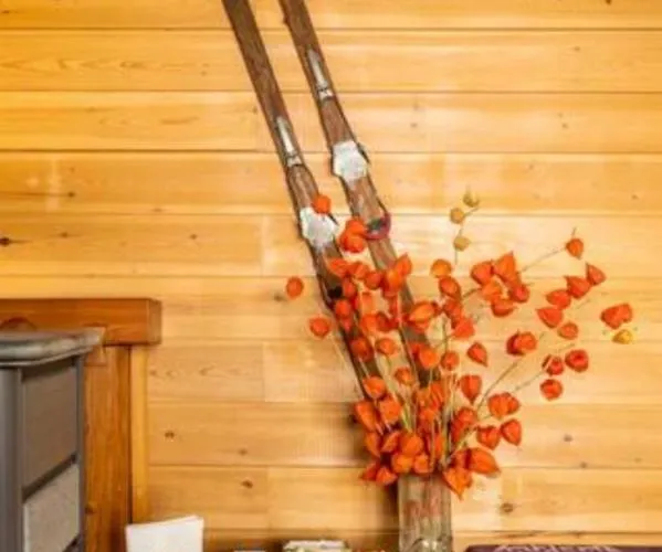 Bed & Breakfast Il Picchio 3*
