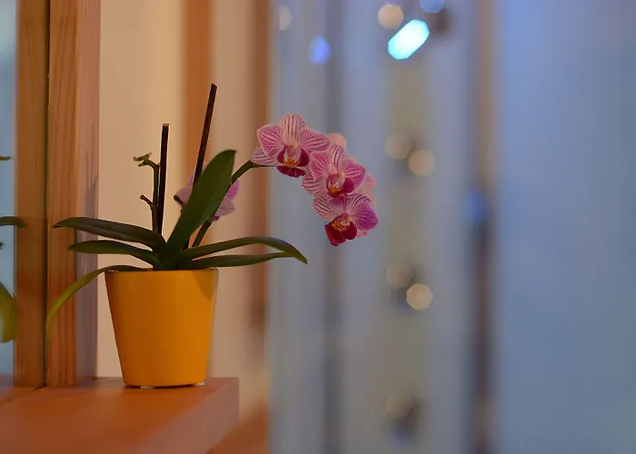 Bed & Breakfast Il Picchio